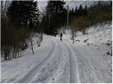 Cerkno - Veliki vrh (Lajše)